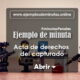 Modelo de Acta de Derechos del Capturado, Formato Word/PDF