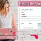 Formato de Recibo de Pago en Word